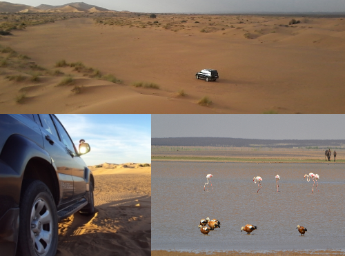 desert safari morocco