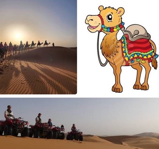 morocco luxury camps