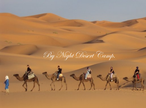 night desert camp
